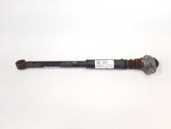 Amortizor spate, cod 6R0512011AJ, Vw Polo (6R) 1.2 benz, CGP (id:551503)
