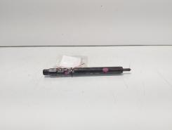 Injector Delphi, cod A6460700987, Mercedes Clasa E (W211), 2.2 CDI, OM646821 (id:692041)